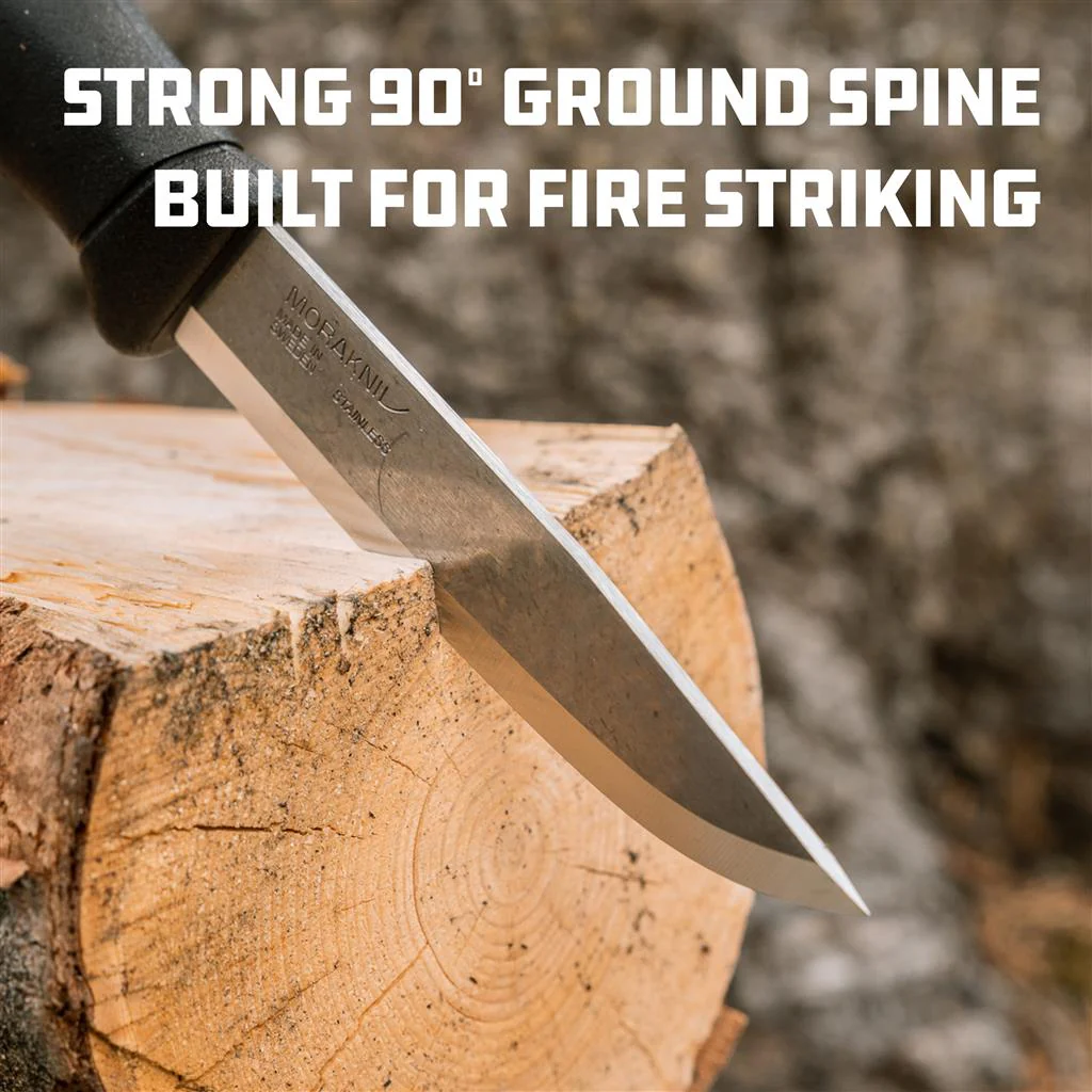 COMPANION SPARK (S) - Image 5