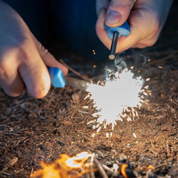 COMPANION SPARK (S) - Image 8