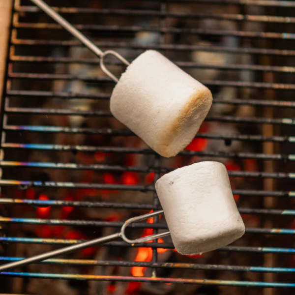 Grill, Cook & S’mores Kit - Image 9